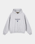 VITALITY GREY HOODIE